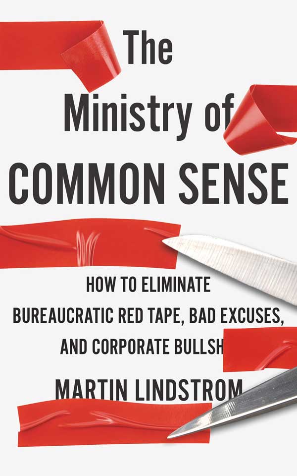 The Ministry of Common Sense Book Cover